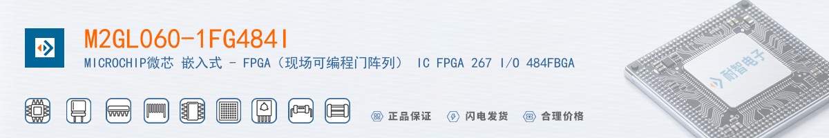 M2GL060-1FG484I������