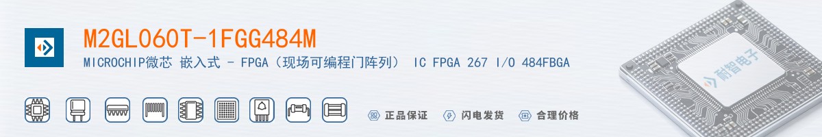 M2GL060T-1FGG484M������