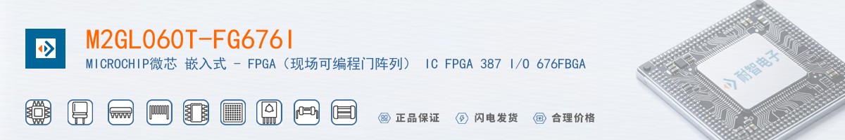 M2GL060T-FG676I������