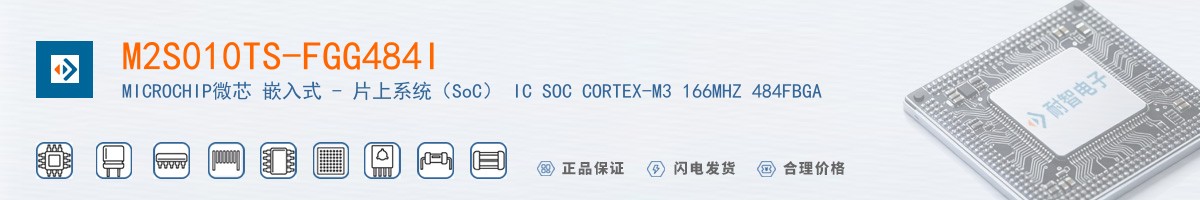 M2S010TS-FGG484I������