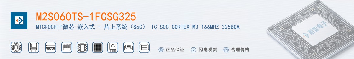 M2S060TS-1FCSG325������