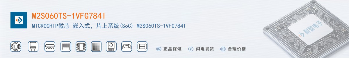 M2S060TS-1VFG784I������