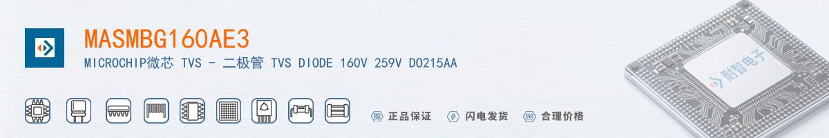 MASMBG160AE3������