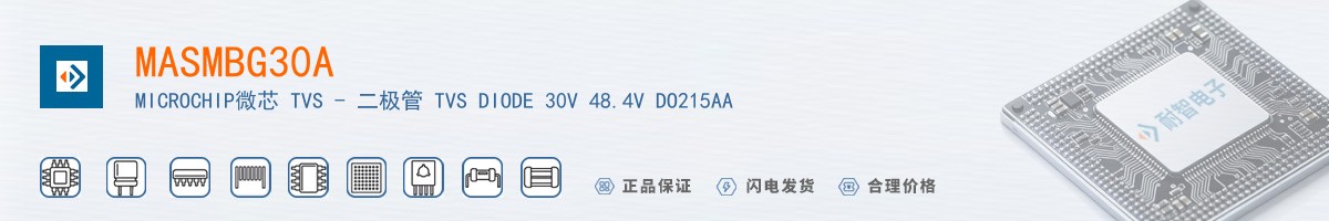 MASMBG30A������