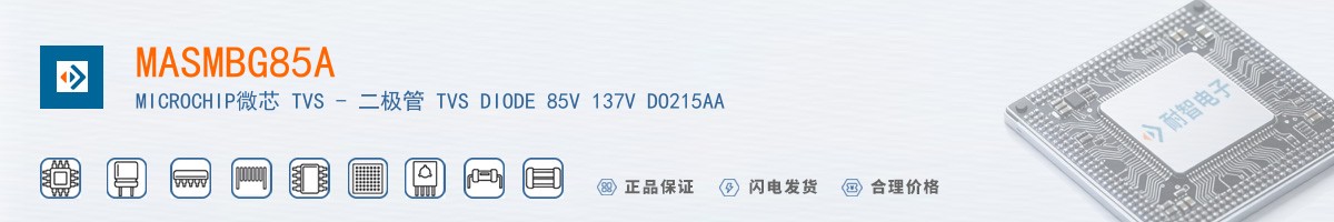 MASMBG8.5A������