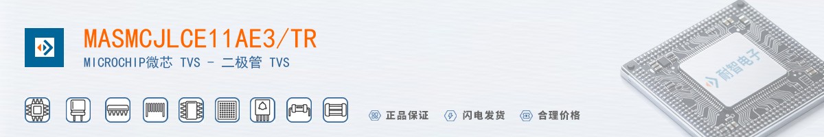 MASMCJLCE11AE3/TR������