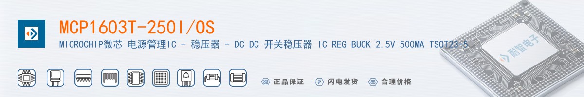 MCP1603T-250I/OS������