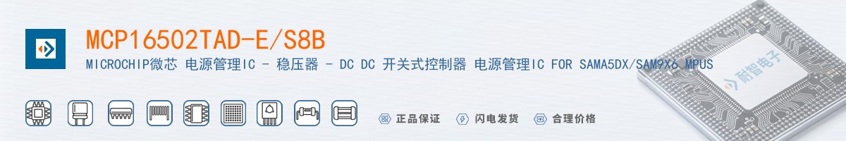 MCP16502TAD-E/S8B������