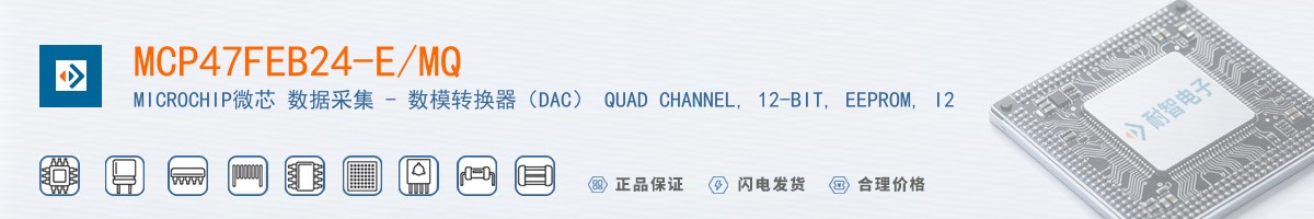 MCP47FEB24-E/MQ������