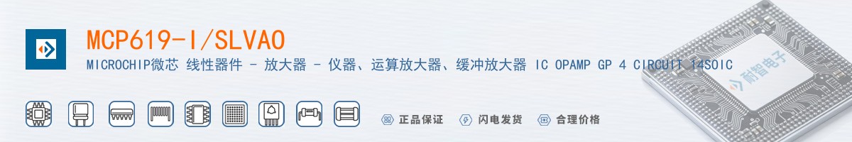 MCP619-I/SLVAO������
