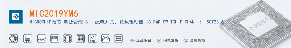 MIC2019YM6������