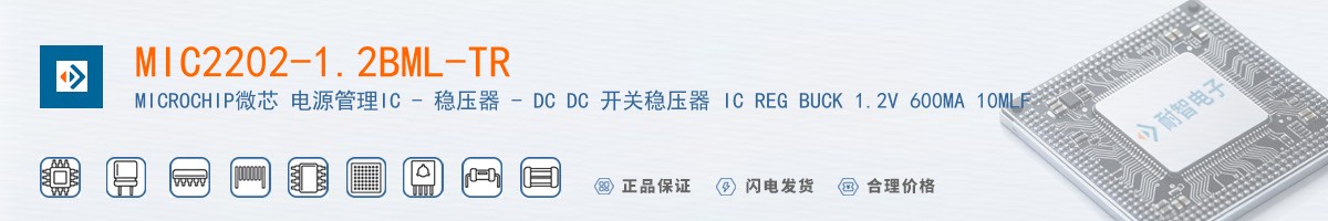 MIC2202-1.2BML-TR������