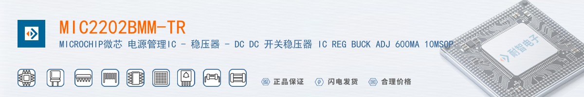 MIC2202BMM-TR������