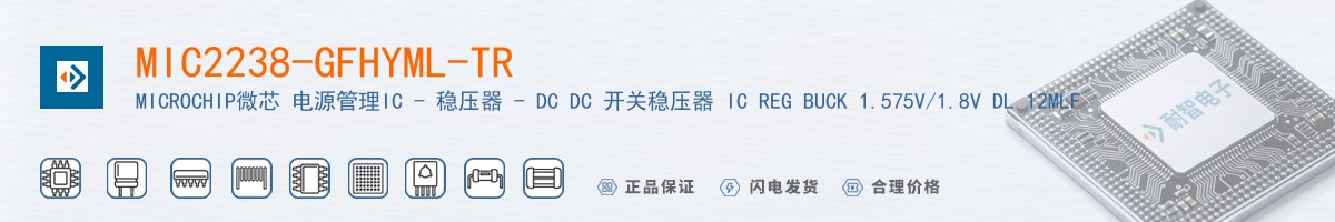 MIC2238-GFHYML-TR������