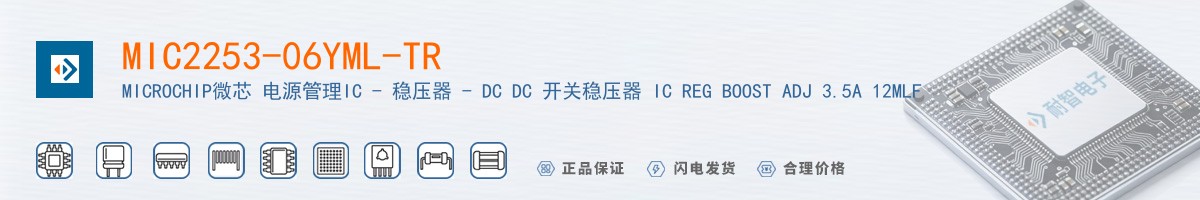 MIC2253-06YML-TR������