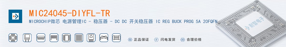 MIC24045-DIYFL-TR������