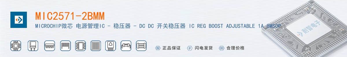 MIC2571-2BMM������