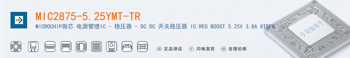 MIC2875-5.25YMT-TR������