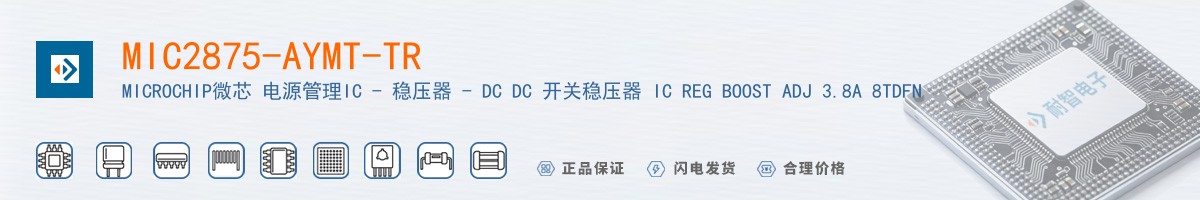 MIC2875-AYMT-TR������