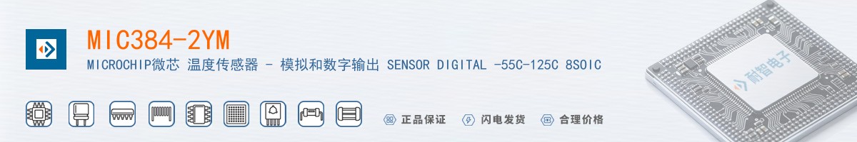 MIC384-2YM������