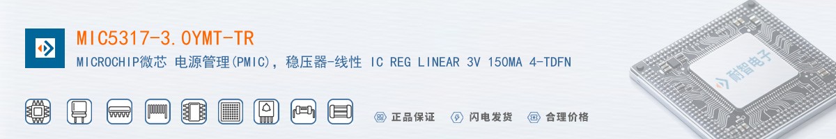 MIC5317-3.0YMT-TR������