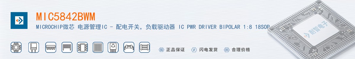 MIC5842BWM������