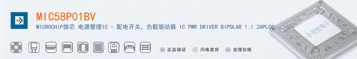 MIC58P01BV������