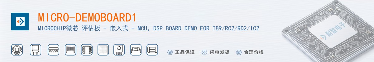 MICRO-DEMOBOARD1������