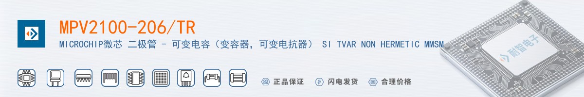 MPV2100-206/TR������