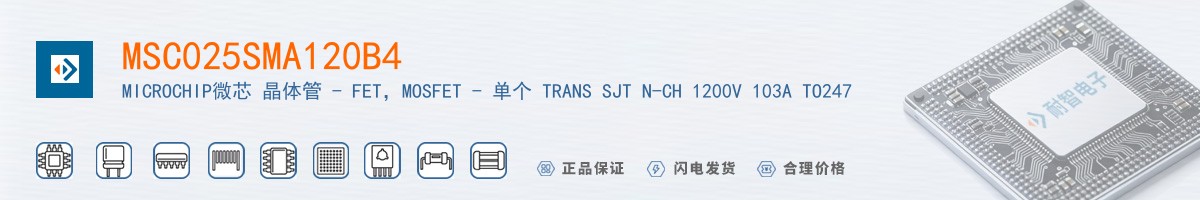 MSC025SMA120B4������