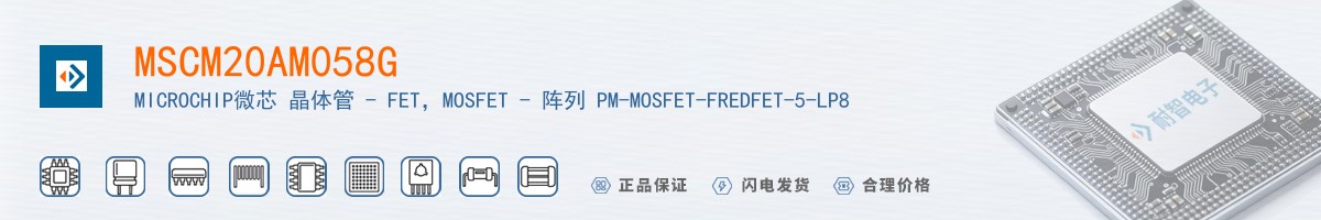 MSCM20AM058G������