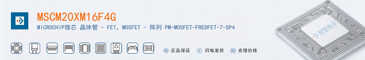 MSCM20XM16F4G������
