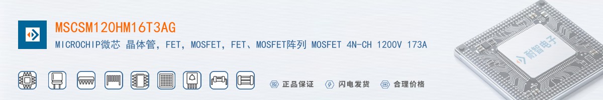 MSCSM120HM16T3AG������