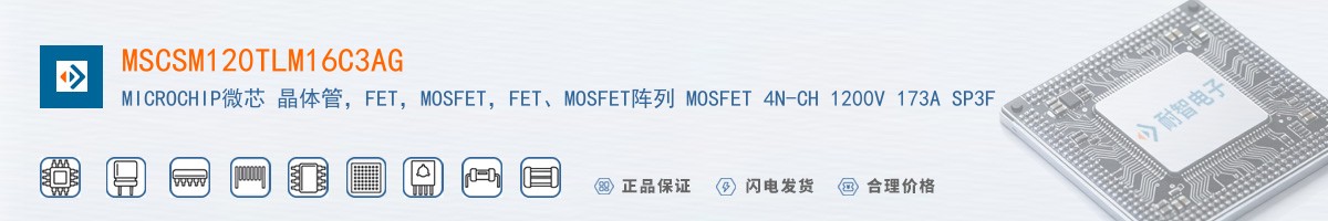 MSCSM120TLM16C3AG������