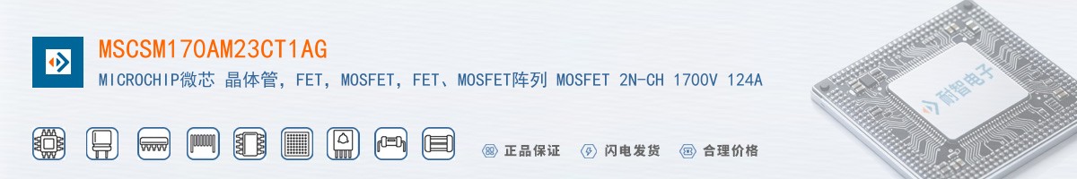 MSCSM170AM23CT1AG������