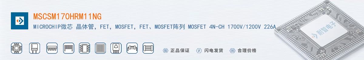 MSCSM170HRM11NG������