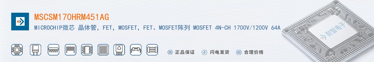 MSCSM170HRM451AG������