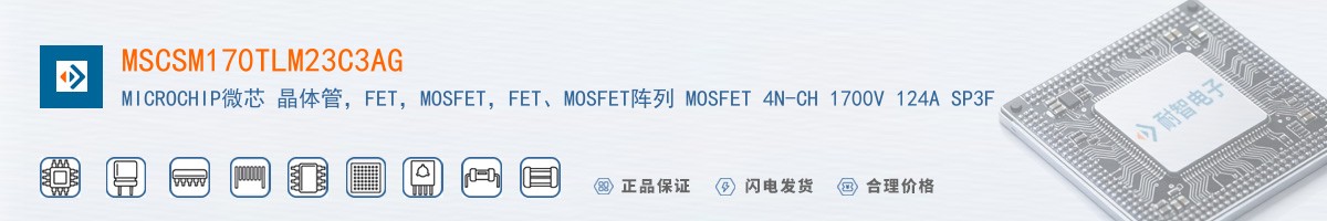 MSCSM170TLM23C3AG������