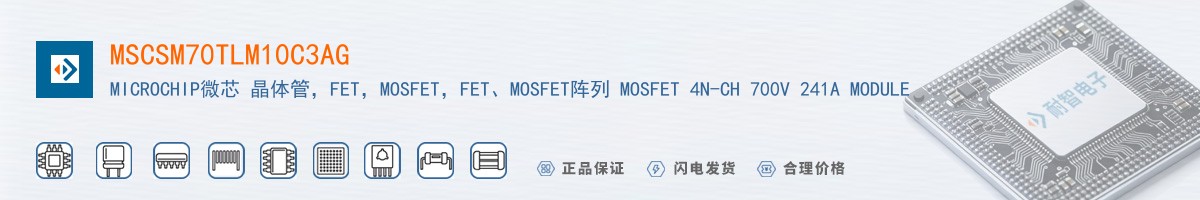 MSCSM70TLM10C3AG������