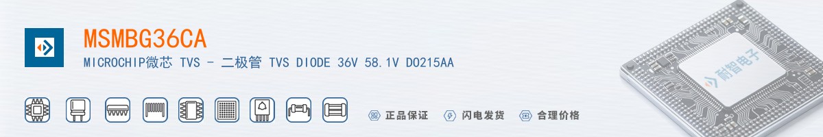 MSMBG36CA������