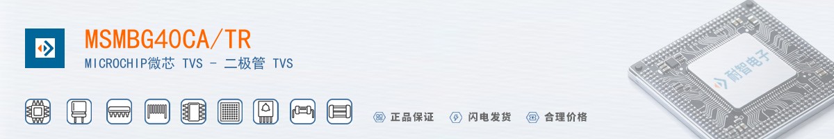 MSMBG40CA/TR������