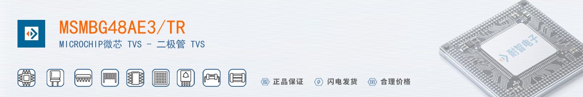 MSMBG48AE3/TR������