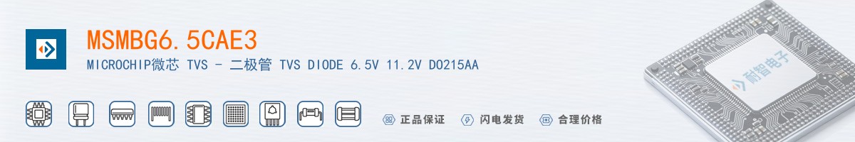 MSMBG6.5CAE3������