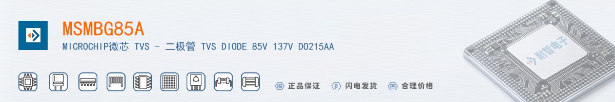 MSMBG8.5A������