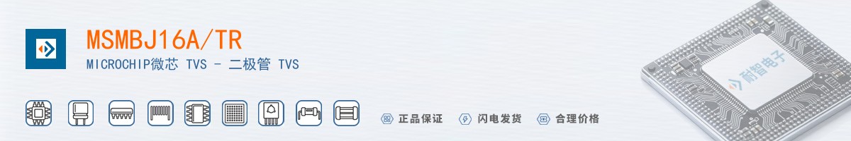 MSMBJ16A/TR������