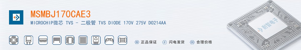 MSMBJ170CAE3������