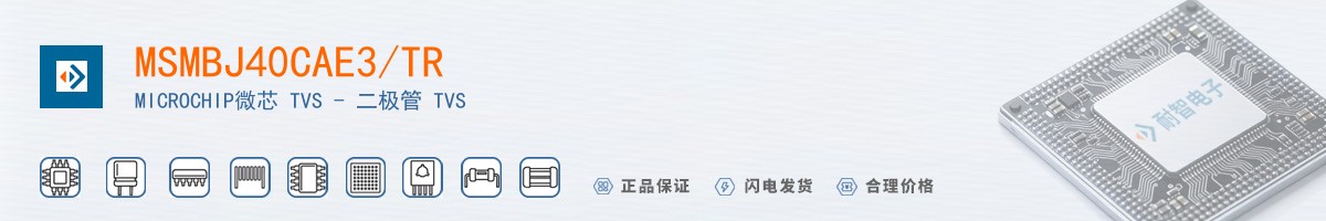 MSMBJ40CAE3/TR������