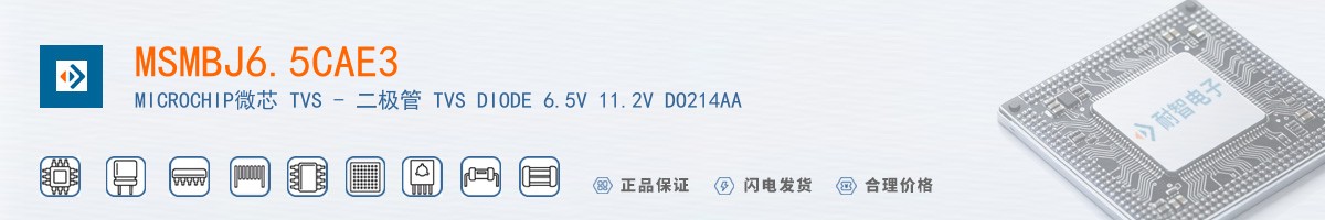 MSMBJ6.5CAE3������