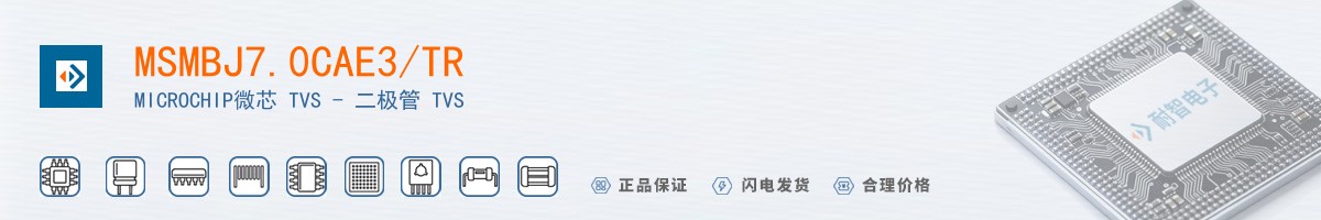 MSMBJ7.0CAE3/TR������