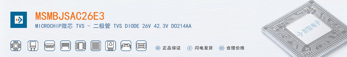 MSMBJSAC26E3������